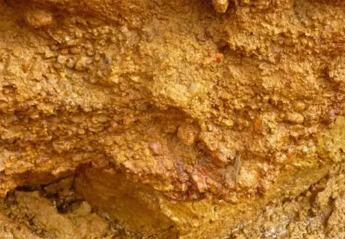 ɰ��V�x�V��ˇ